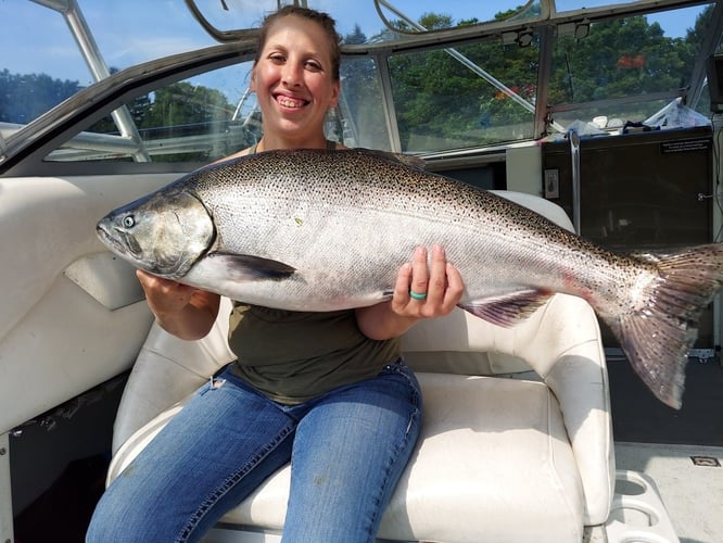 Weekend Salmon Run In Kenosha