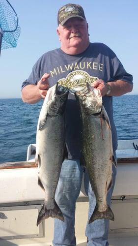 Weekday Salmon Run In Kenosha