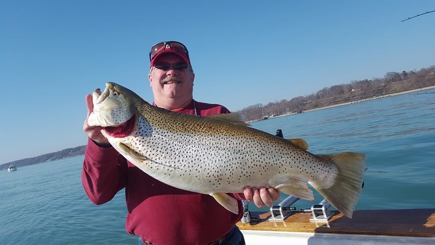 Weekday Salmon Run In Kenosha