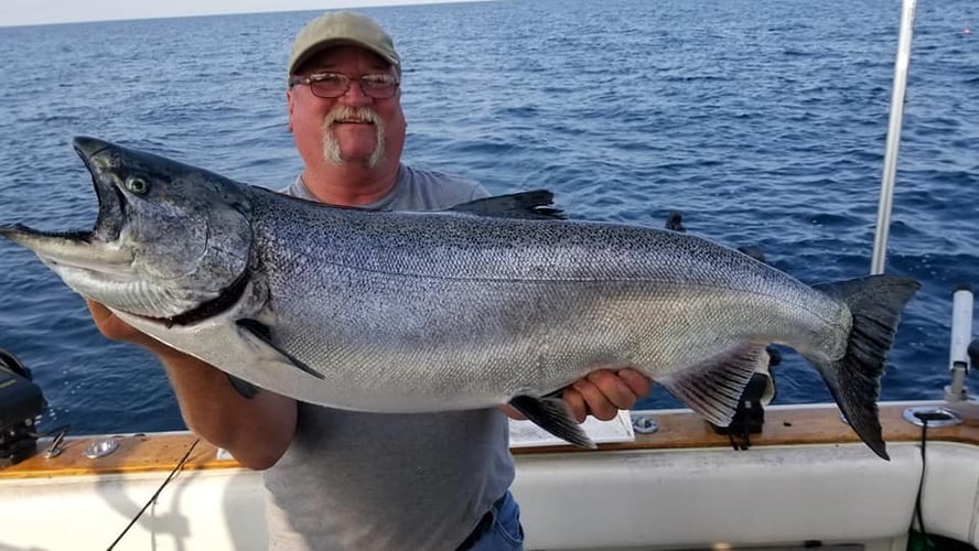 Weekend Salmon Run In Kenosha