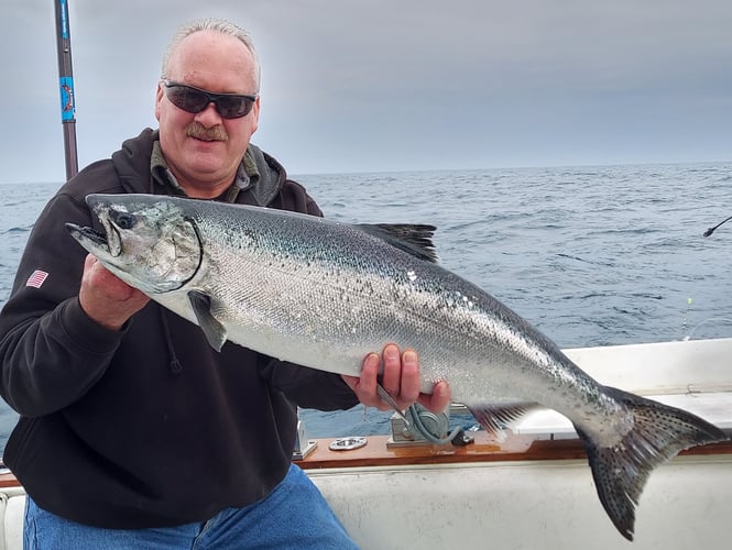 Weekday Salmon Run In Kenosha