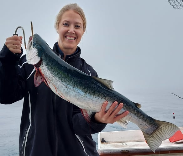 Weekday Salmon Run In Kenosha