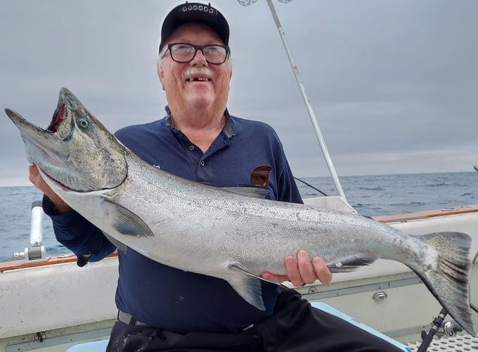 Weekend Salmon Run In Kenosha