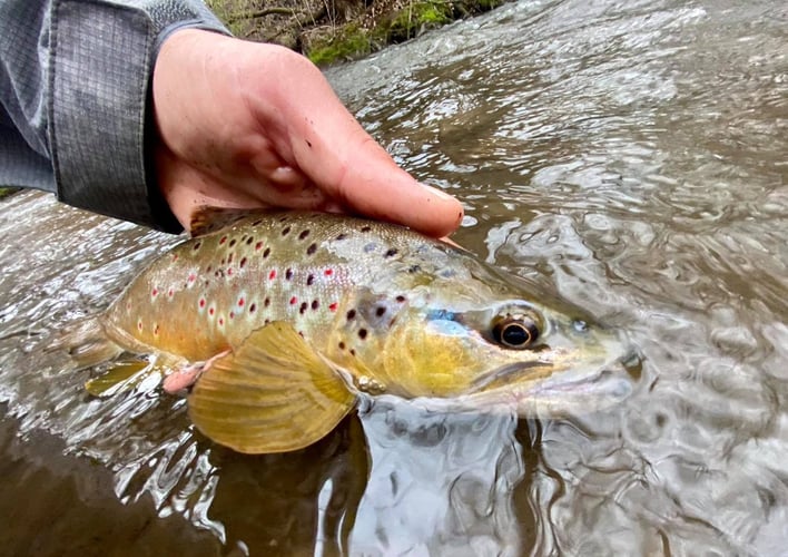 Warm Weather Smallmouths And Pike In Sheboygan Falls