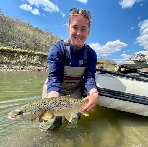 Warm Weather Smallmouths And Pike In Sheboygan Falls