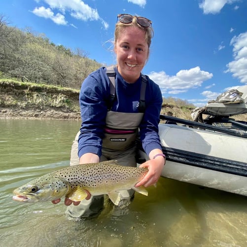 Smallmouth Bass, Pike, & Musky In Sheboygan Falls