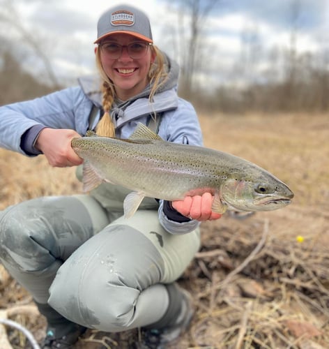 Sheboygan Salmon And Trout Drift In Sheboygan