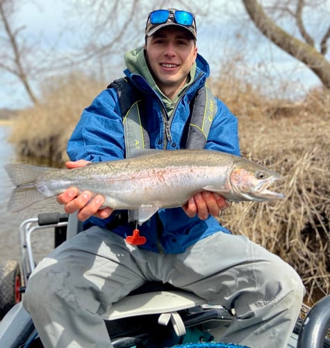 Sheboygan Salmon And Trout Drift In Sheboygan