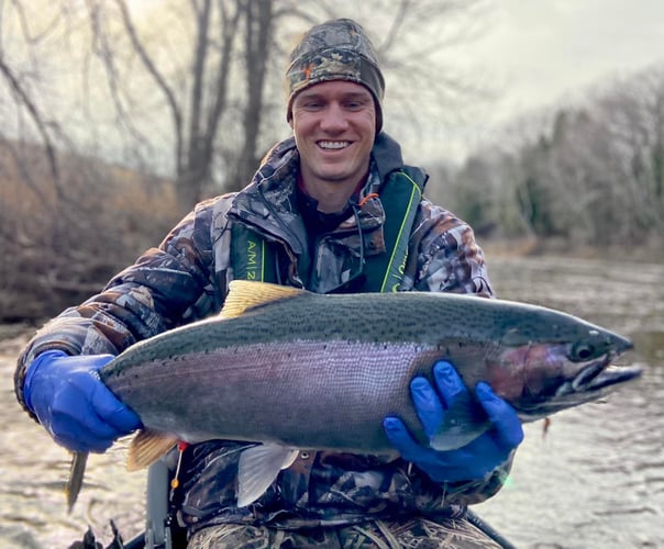 Sheboygan Salmon And Trout In Sheboygan