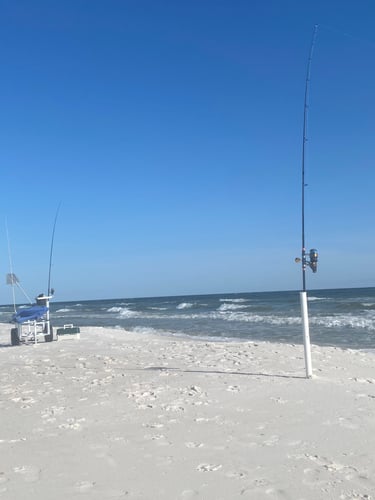 After Work/School Surf Fishing In Panama City Beach