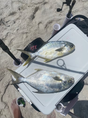 After Work/School Surf Fishing In Panama City Beach