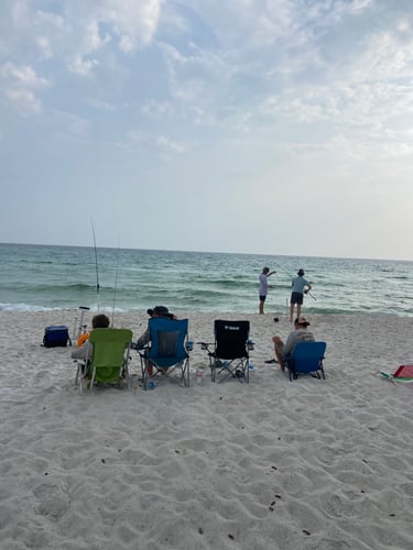 Surf Fishing In Panama City Beach