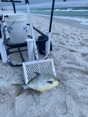 After Work/School Surf Fishing In Panama City Beach