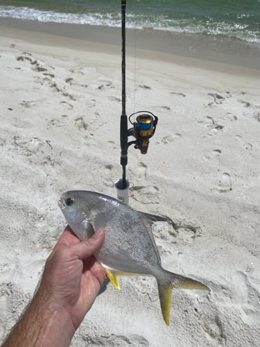 Surf Fishing In Panama City Beach