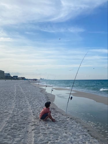 After Work/School Surf Fishing In Panama City Beach