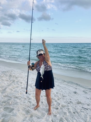 Surf Fishing In Panama City Beach