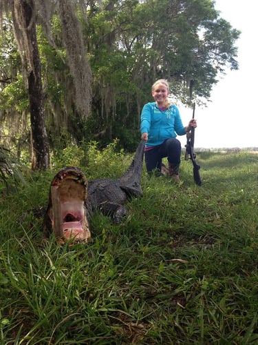 Florida Gator Takedown- 7' In Okeechobee