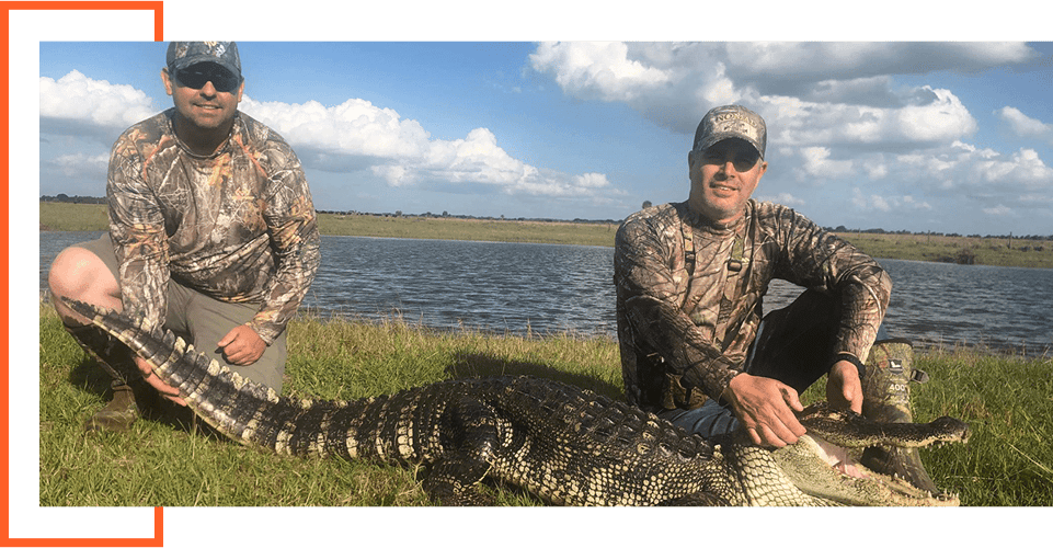 Florida Gator Takedown- 10' In Okeechobee