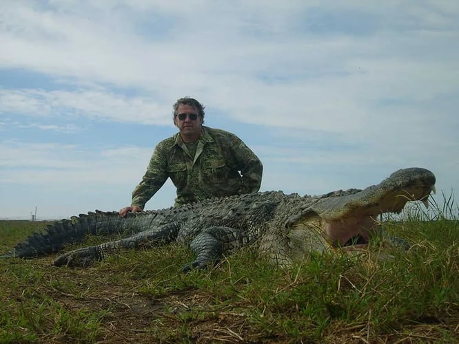 Florida Gator Takedown- 11' In Okeechobee