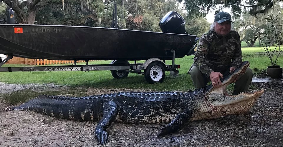 Florida Gator Takedown- 9' In Okeechobee