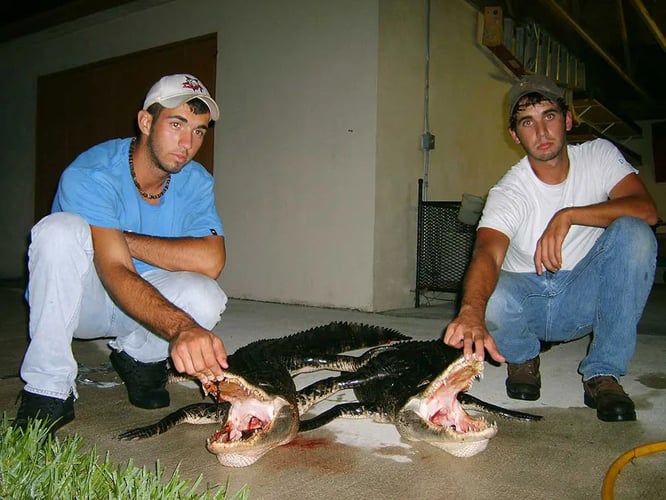 Florida Gator Takedown- 10' In Okeechobee