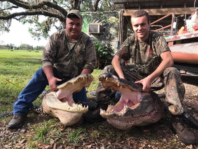 Florida Gator Takedown- 9' In Okeechobee