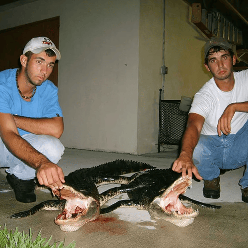 Florida Gator Takedown- 7' In Okeechobee