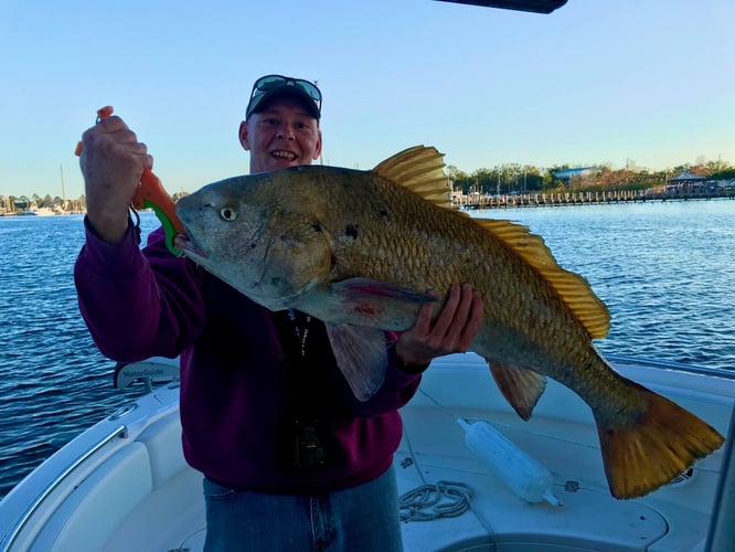 Pensacola Fishing Frenzy In Pensacola