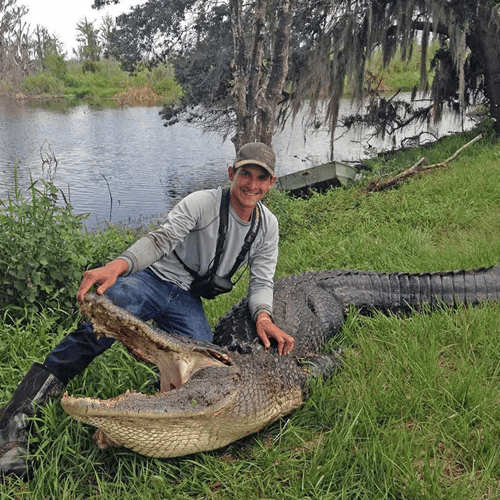 Florida Gator Takedown- 13'+ In Okeechobee