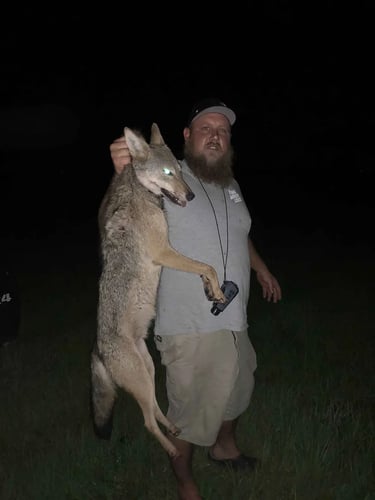 Thermal Coyote Thriller! In Okeechobee