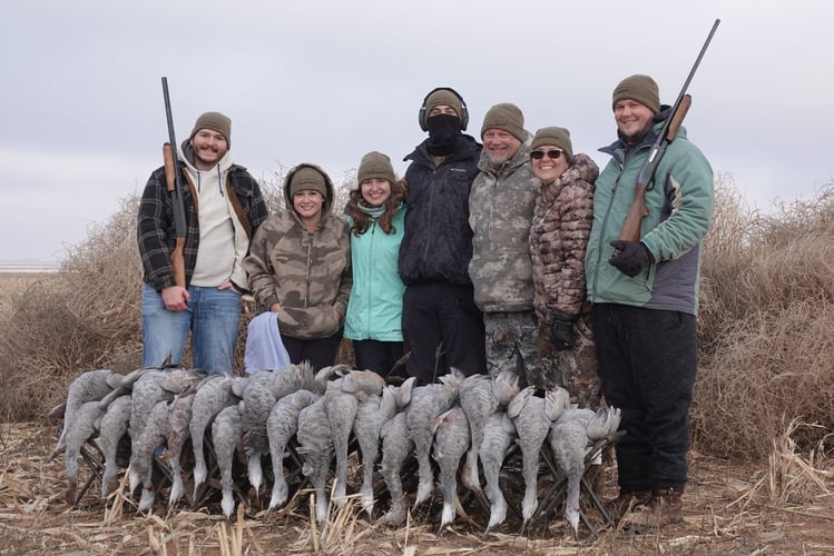 Sandhill Crane Takedown With Lodging In Lubbock