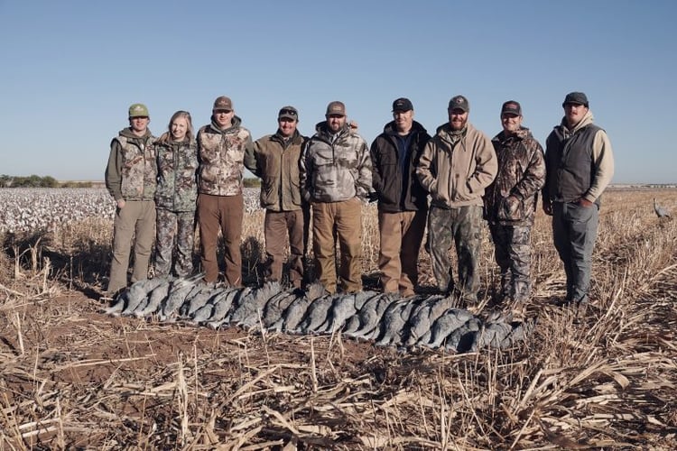 Sandhill Crane Takedown! In Lubbock