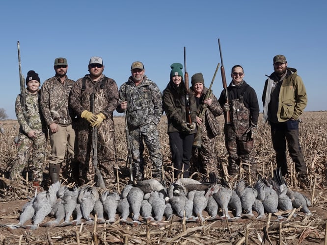 Sandhill Crane Takedown! In Lubbock