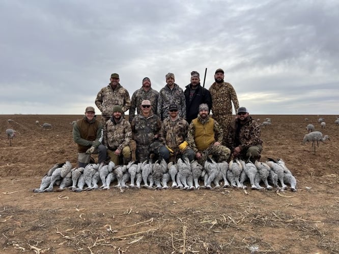 Sandhill Crane Takedown! In Lubbock