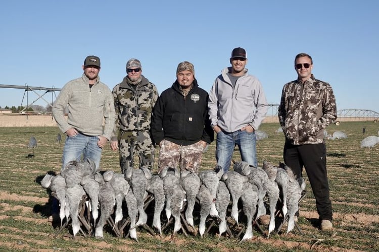 Sandhill Crane Takedown! In Lubbock