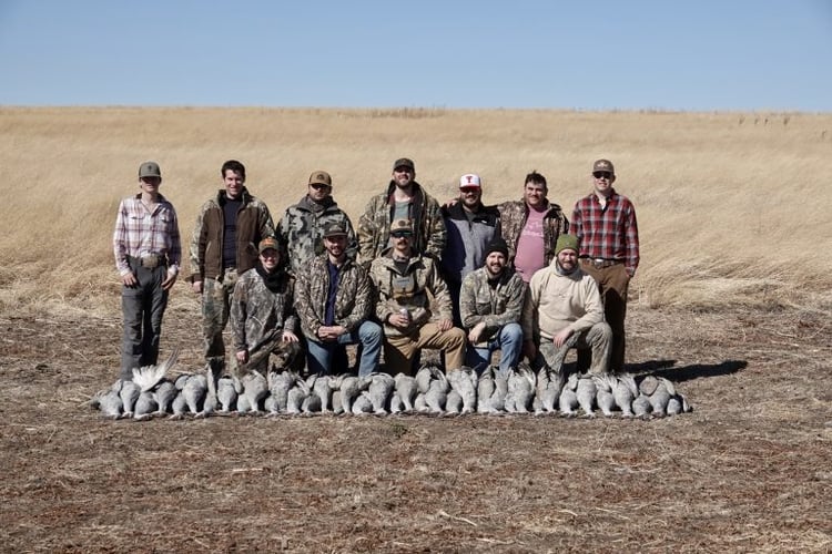 Sandhill Crane Takedown With Lodging In Lubbock