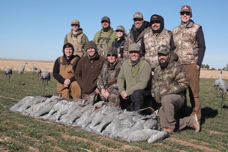 Sandhill Crane Takedown With Lodging In Lubbock