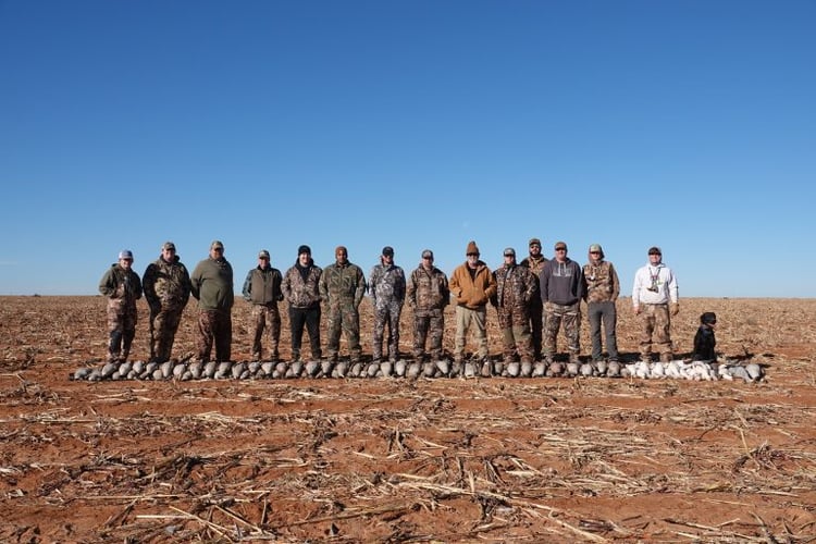 Texas Goose Adventure In Lubbock