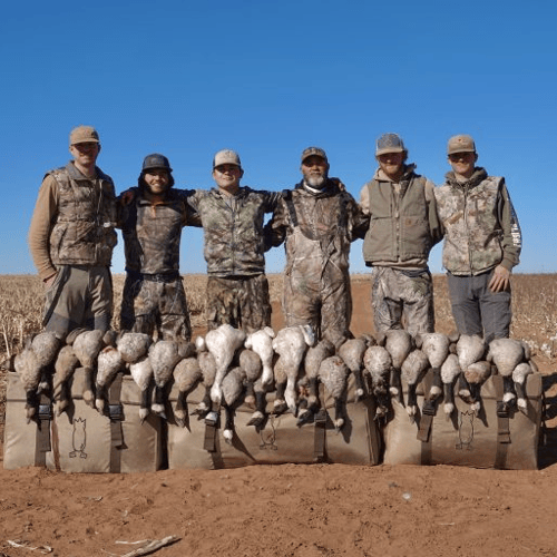 Texas Goose Adventure In Lubbock