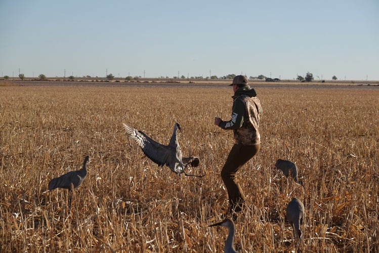 Texas Goose Adventure With Lodging In Lubbock