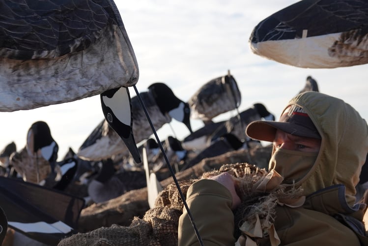 Texas Goose Adventure With Lodging In Lubbock