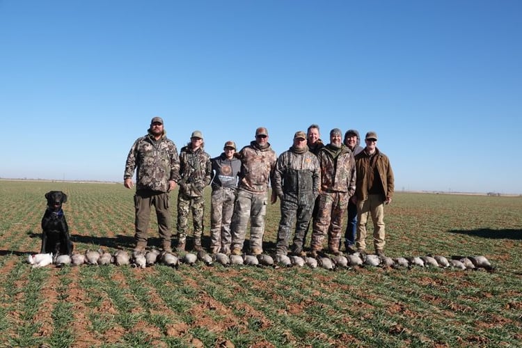 Texas Goose Adventure With Lodging In Lubbock