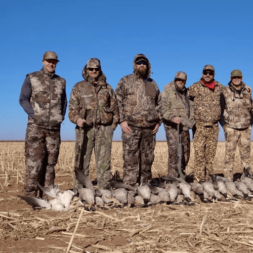 Texas Goose Adventure With Lodging In Lubbock