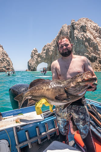 Spearfishing Baja In Cabo San Lucas
