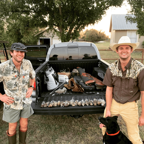 Central Texas Dove Hunt In Manor