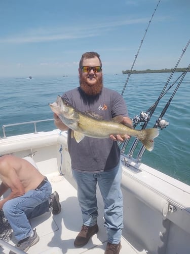 Lake Erie Perch Or Walleye Special In Lakeside Marblehead