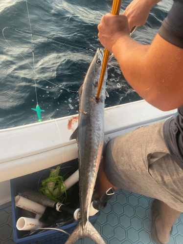 Half And Full Day Offshore In Corpus Christi