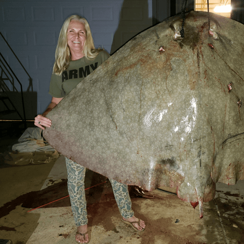 Trophy Giant Butterfly Ray Bowfishing In Ocean Pines