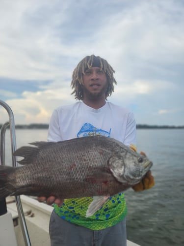 Inshore Redfishing In Saint Marks