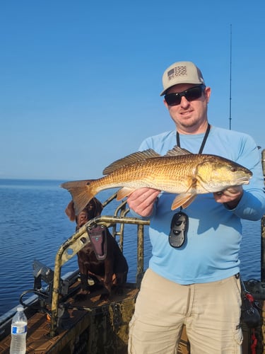 Inshore Redfishing In Saint Marks